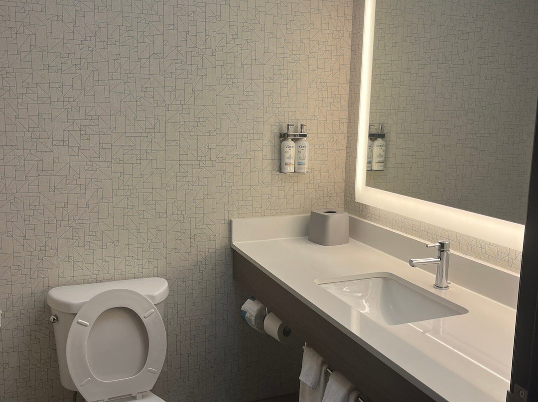 Holiday Inn Express & Suites Swansea主图