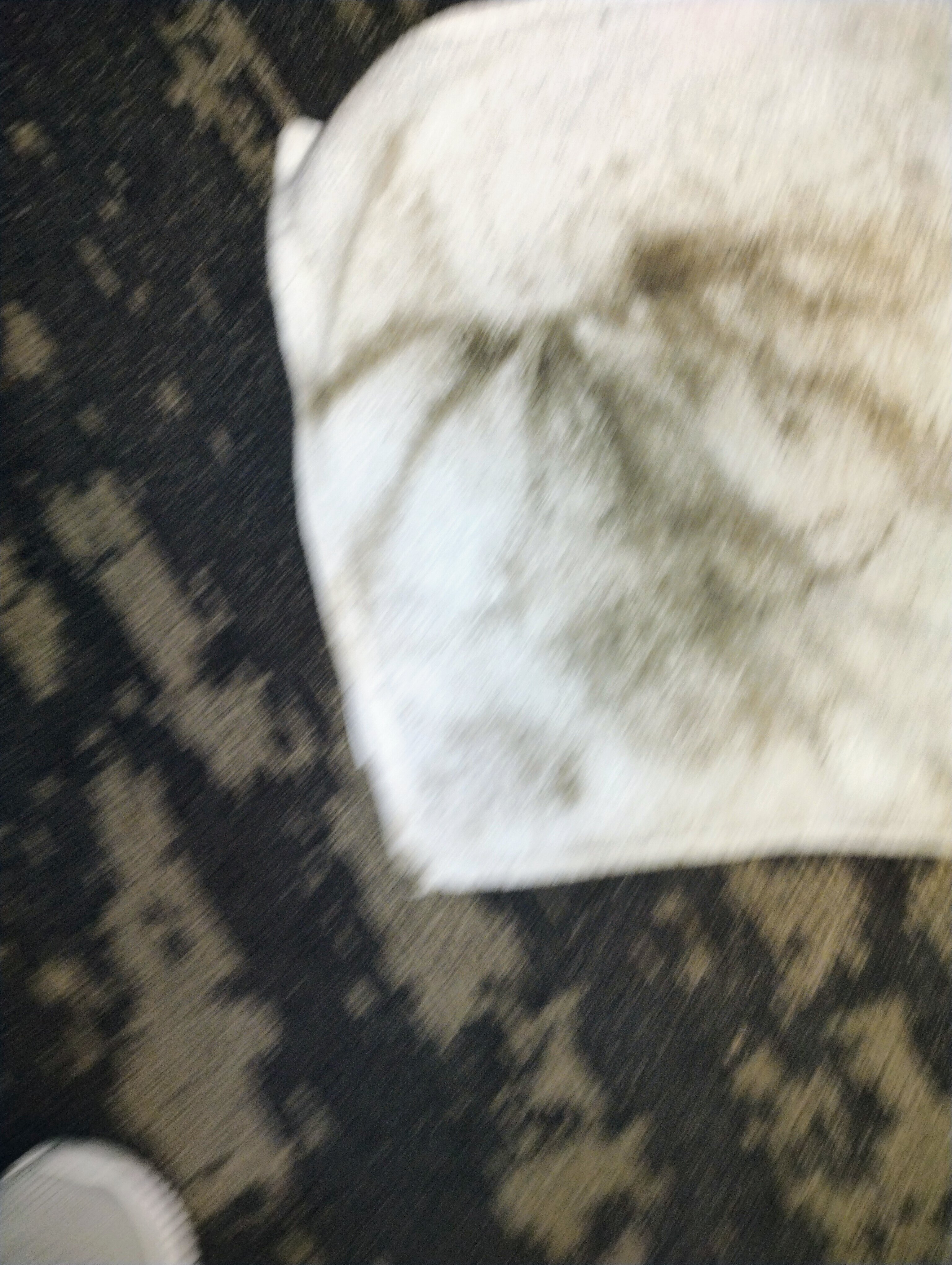 奥尔巴尼万豪酒店-客卧