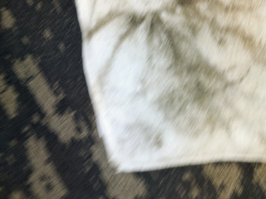 奥尔巴尼万豪酒店主图