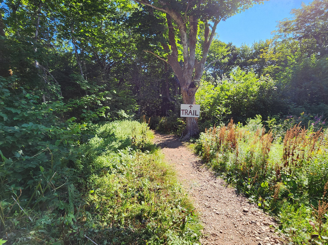 Egypt Falls-Margaree Harbour必去景点