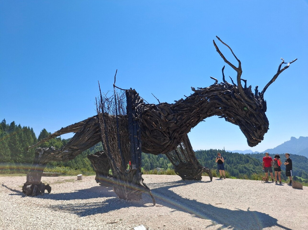 Drago Vaia Regeneration-Lavarone必去景点