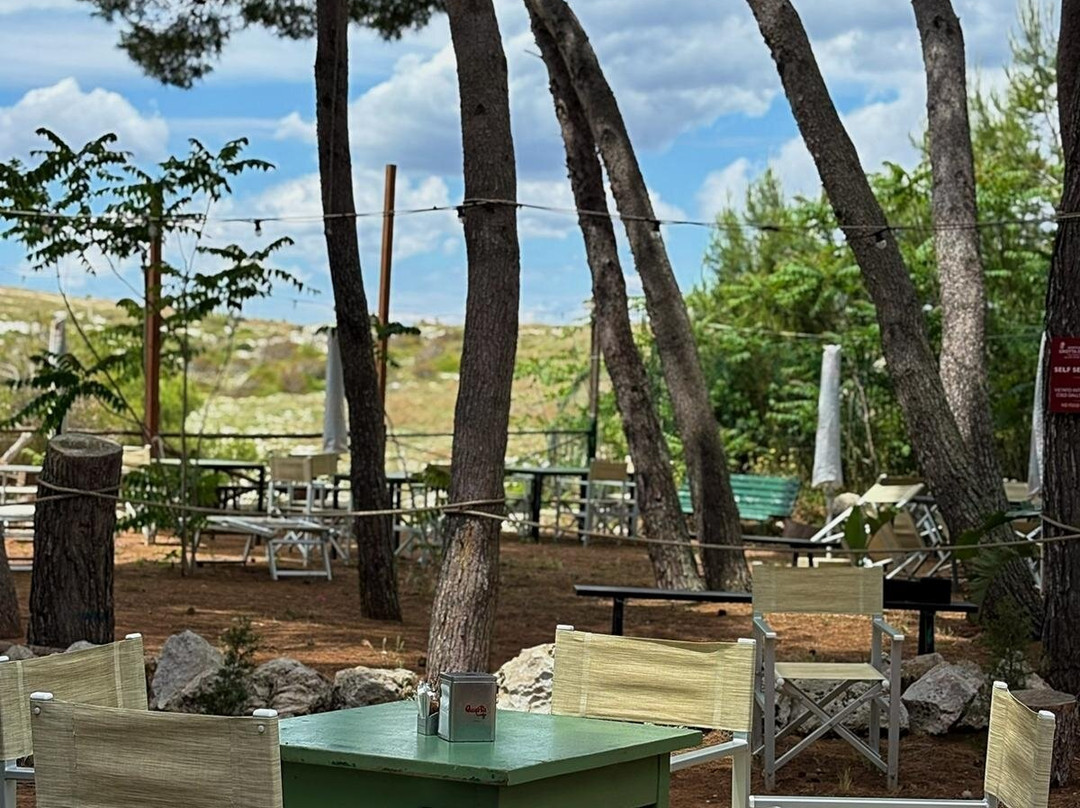 Azienda Agricola Grotta dei Cervi-Porto Badisco必去景点