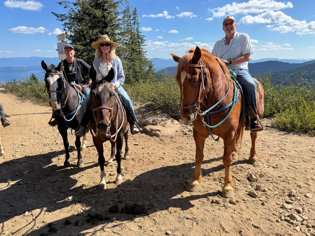 Mountain Horse Adventures-桑德波因特必去景点