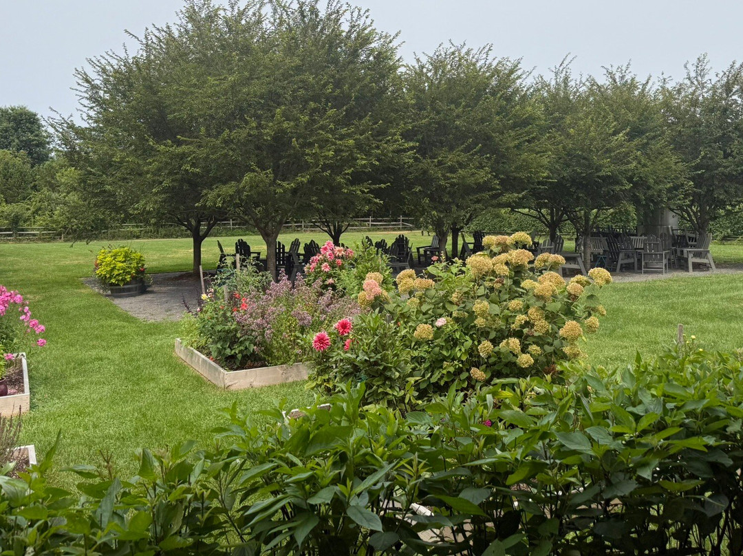 Jamesport Vineyards-Jamesport必去景点