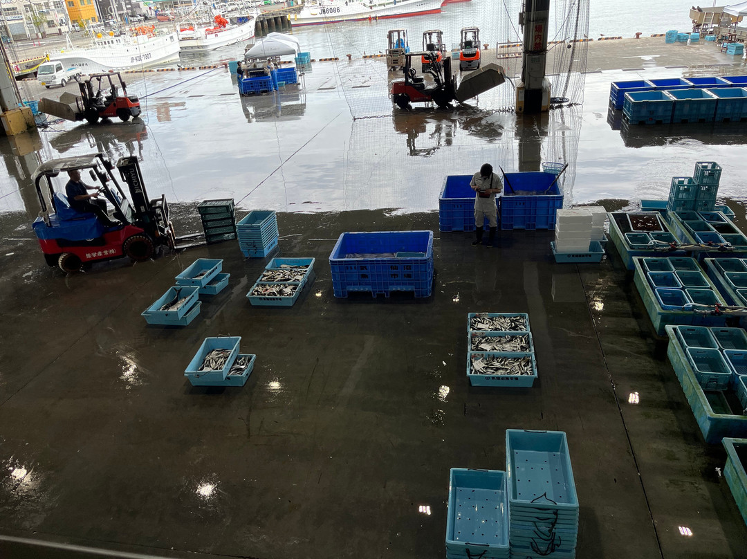 Kesennuma Fish Market-气仙沼市必去景点