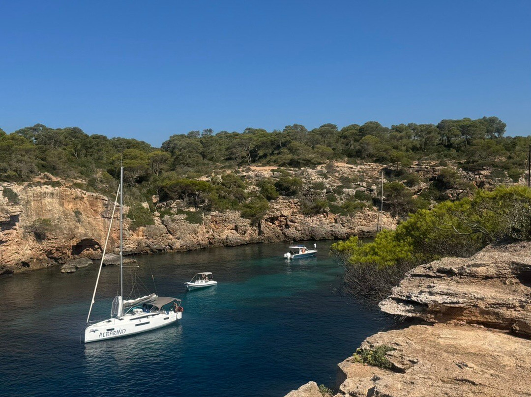 Playa Cala Pi-Cala Pi必去景点