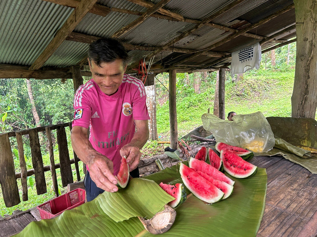 Loolu Tour - Private Day Tours-清迈必去景点