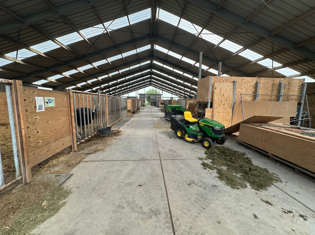 Struisvogelboerderij Monnikenwerve-斯勒伊斯必去景点