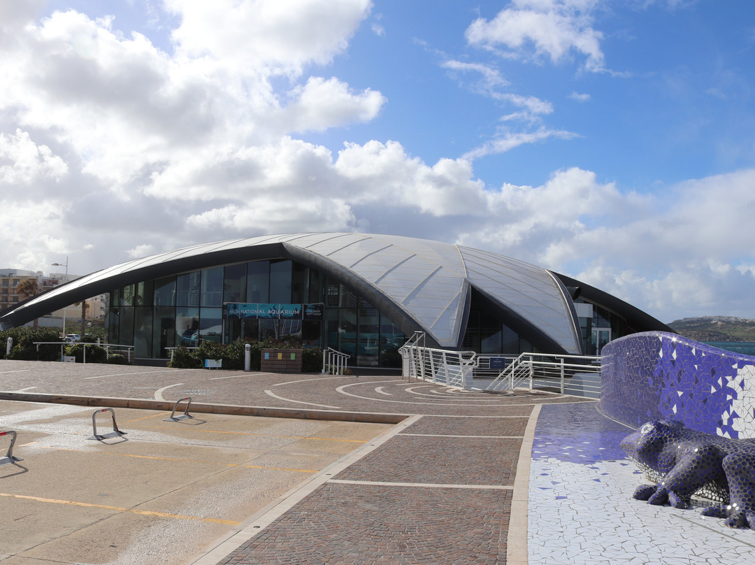 Malta National Aquarium-卡拉必去景点