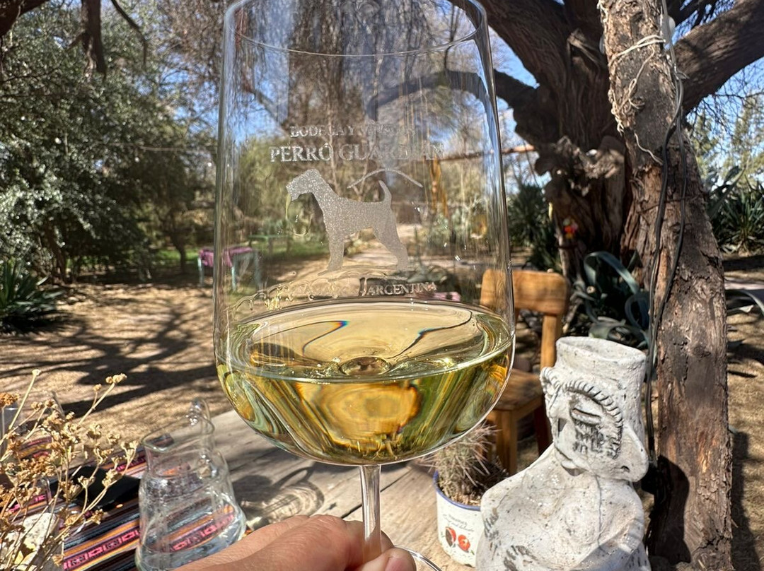 Bodega Perro Guardian-Tinogasta必去景点