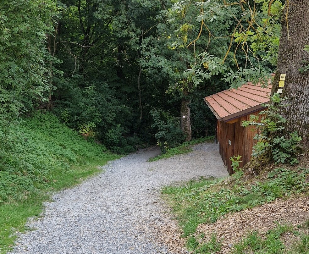 Waldgasthof Wildbad主图