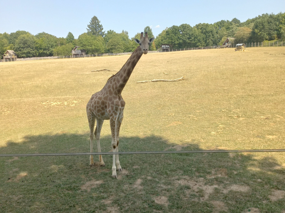 Parc Zoo du Reynou-Le Vigen必去景点