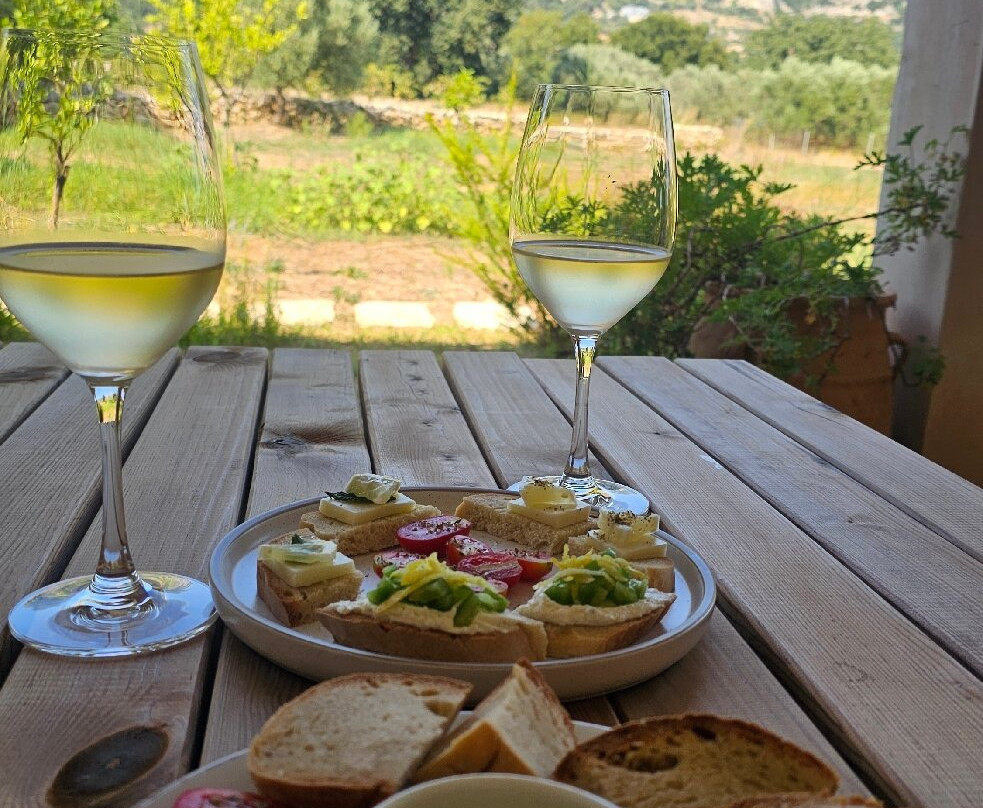 Petrakopoulos Wines-凯法利尼亚岛必去景点