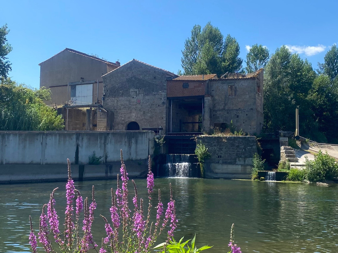 Bayou Canoë-Serignan必去景点