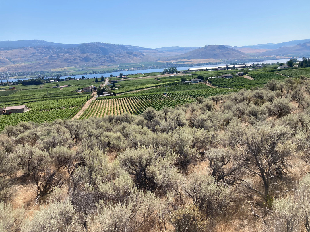 Sun Hills Riding Centre-奥索尤斯必去景点