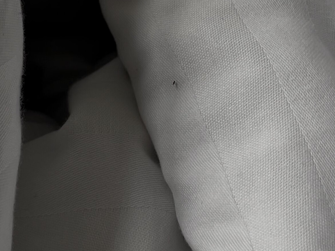 Namaste Palace Hotel主图