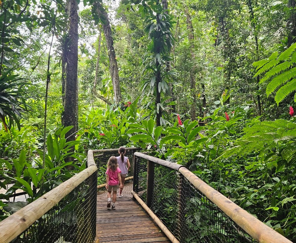 Zoo De Guadeloupe Au Parc Des Mamelles-Bouillante必去景点