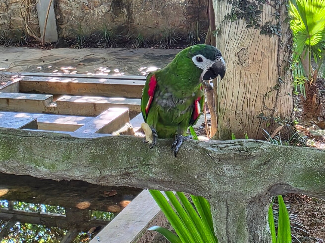 ARA Bird Garden-富禄必去景点
