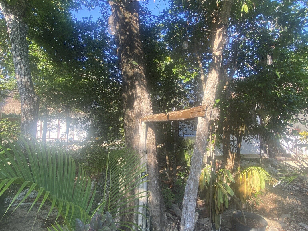 Maya Eco Village主图