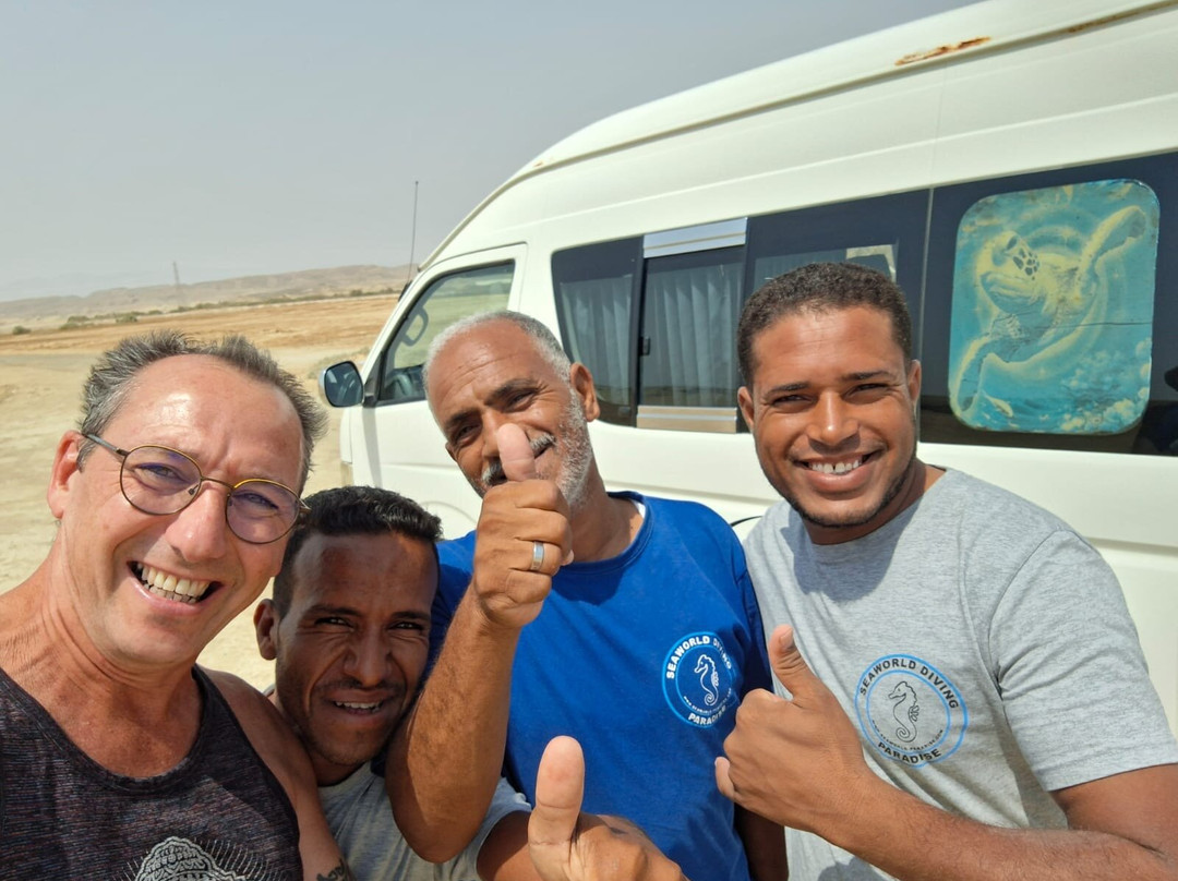 Seaworld Diving Center-马萨阿拉姆必去景点