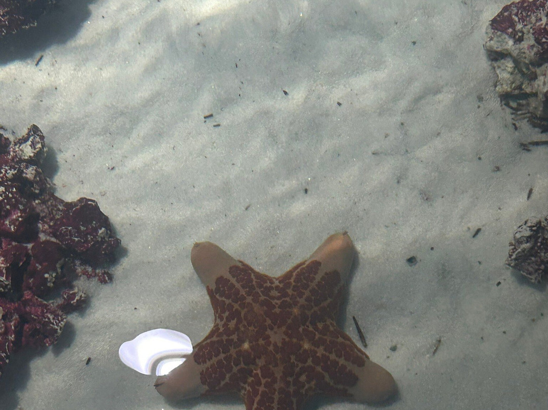 Legasea Aquarium & The Reptarium-Utica必去景点