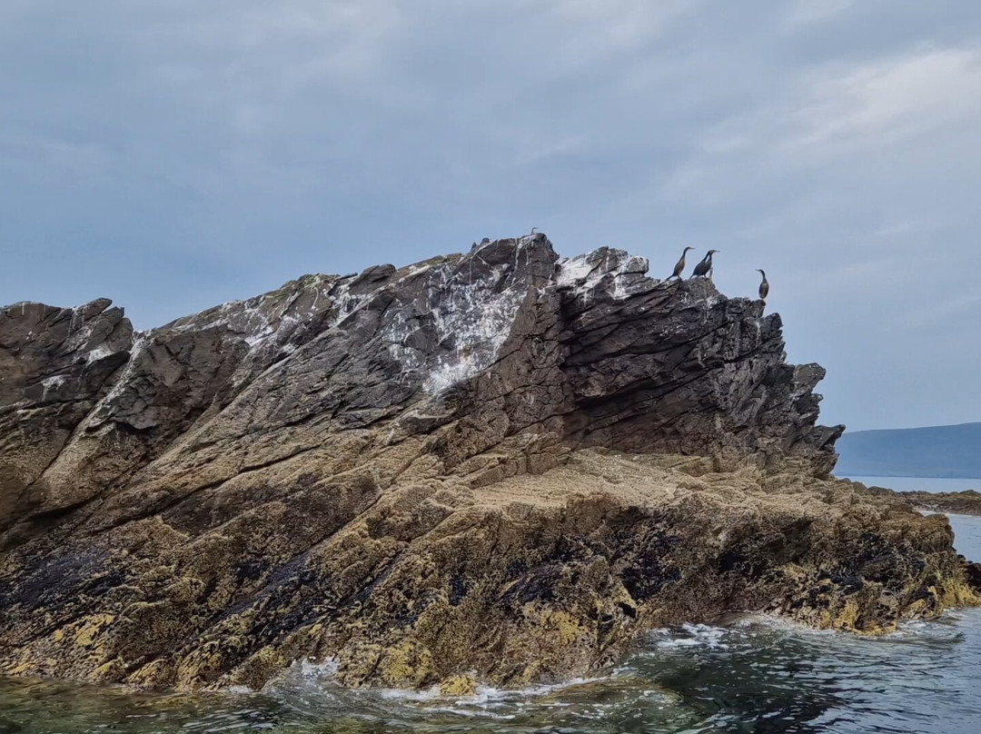 Blacksod Sea Safari-Belmullet必去景点