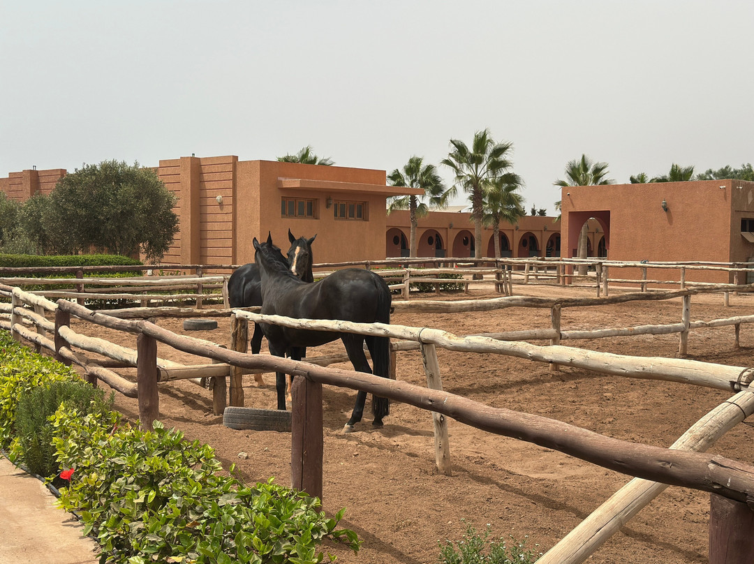 Club Equestre Lamzar-阿加迪尔必去景点