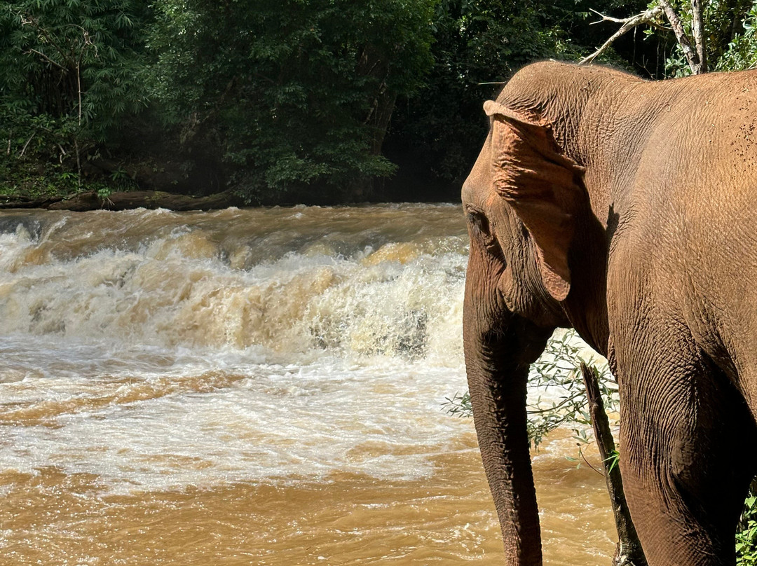 Mondulkiri Project-森莫诺隆必去景点