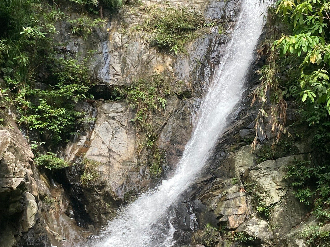 Papawyan Falls-巴顿港必去景点