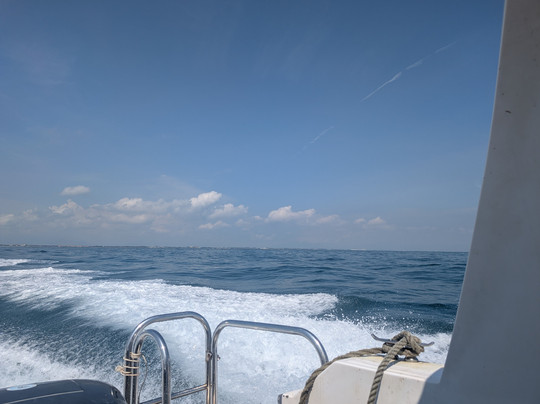 Tommy Shore Excursions-岘港必去景点