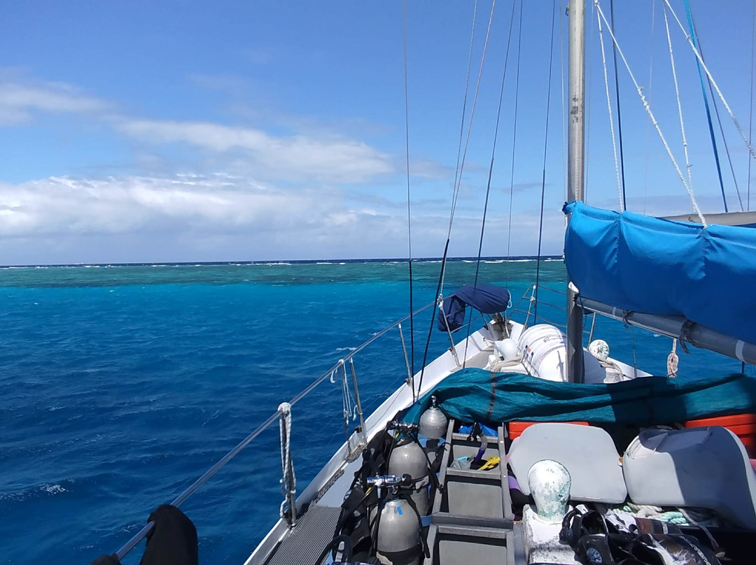 Rum Runner-凯恩斯必去景点