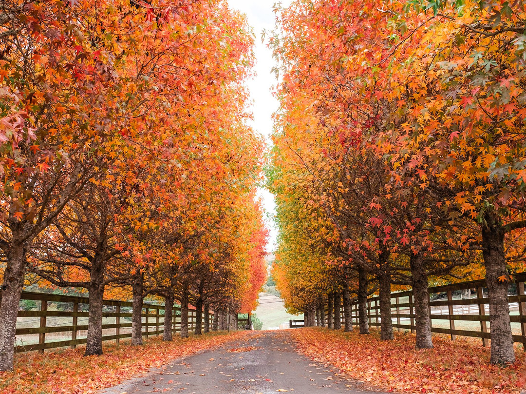 Heidrun Meadery-Point Reyes Station必去景点