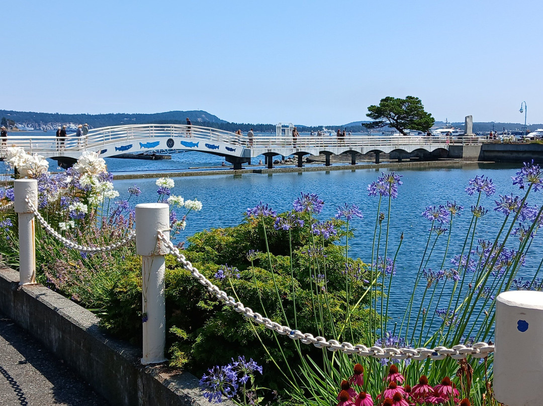 Harbourfront Walkway-纳奈莫必去景点