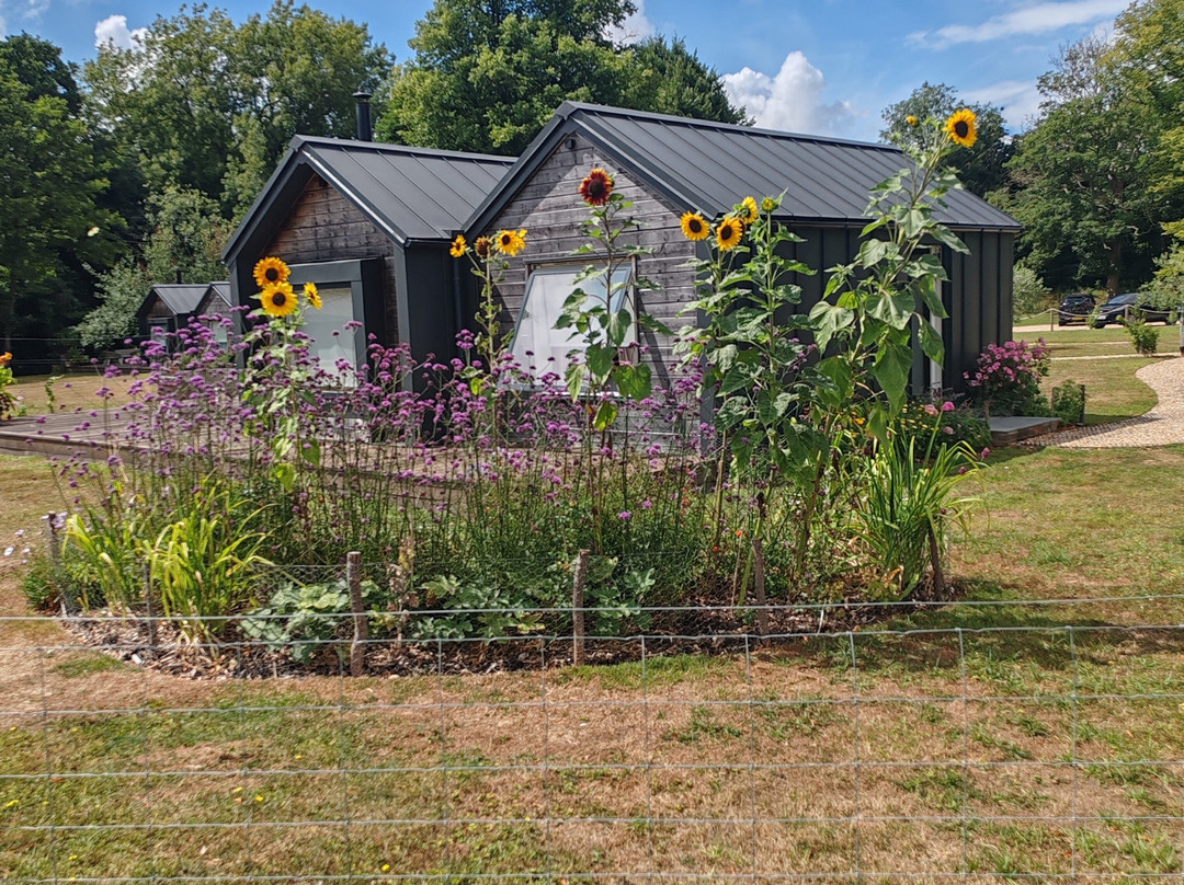 Ashling Park Estate-West Ashling必去景点