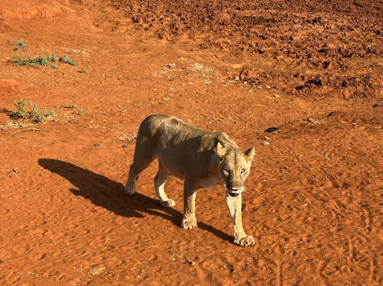 Info Kenya Tours-瓦塔木必去景点