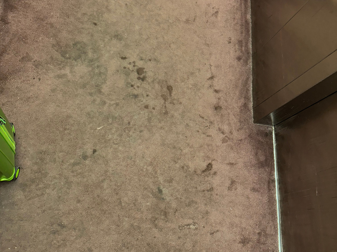 桑德贝戴斯套房酒店主图