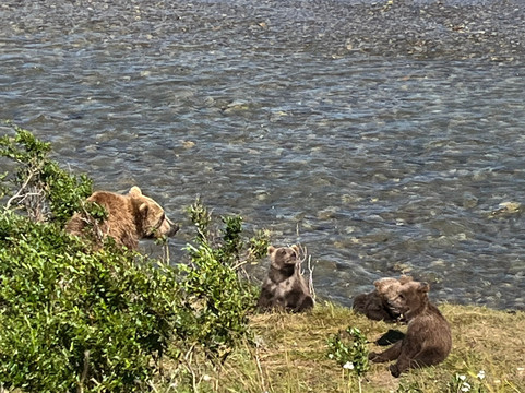 Alaska Ultimate Safaris-荷马必去景点