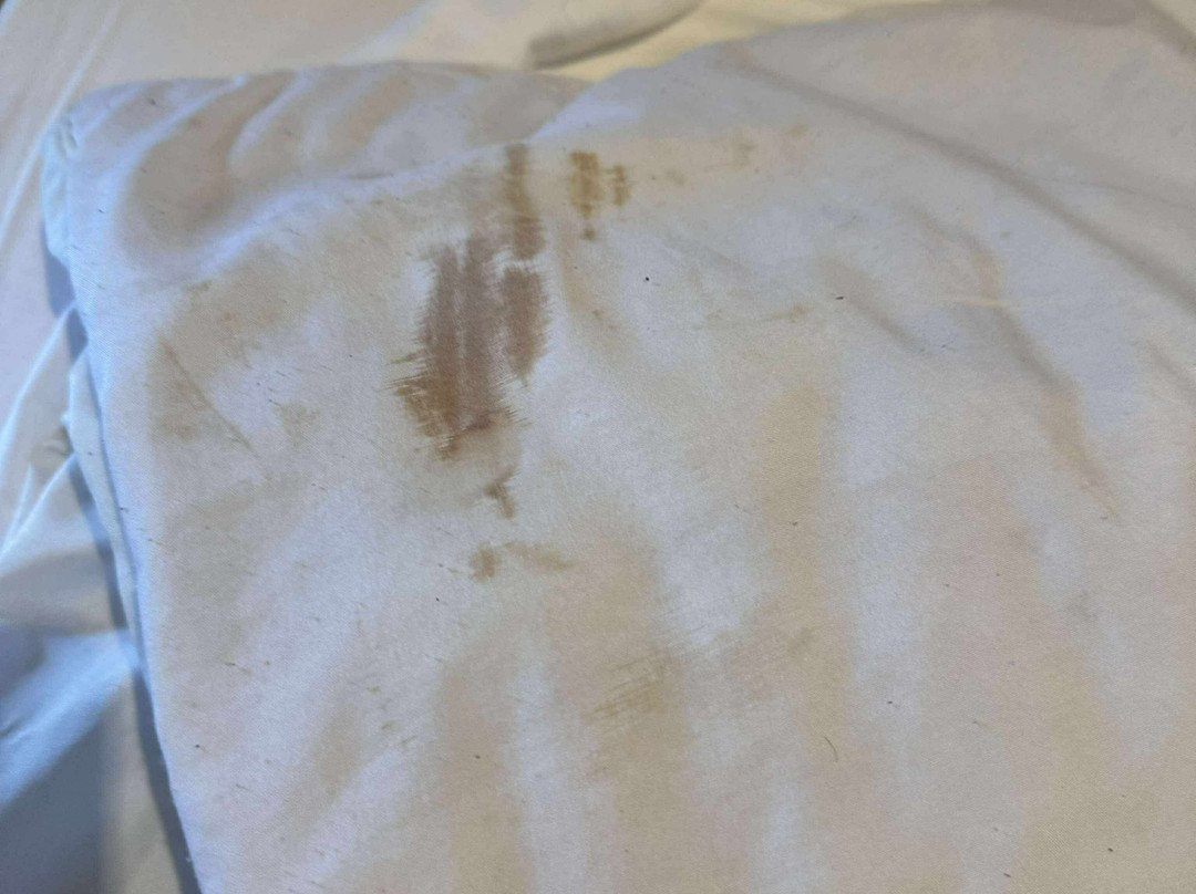 Clifton Hotel Newcastle主图