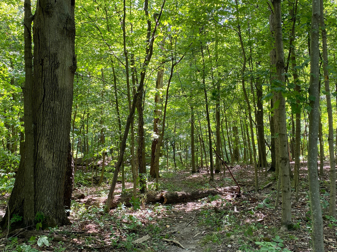 Fort Ancient State Memorial-Oregonia必去景点