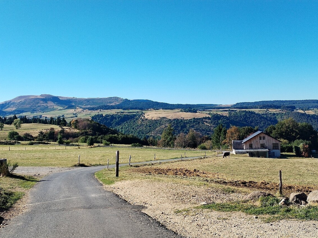 Ferme Gaec de l'Oiseau-Chambon-sur-Lac必去景点