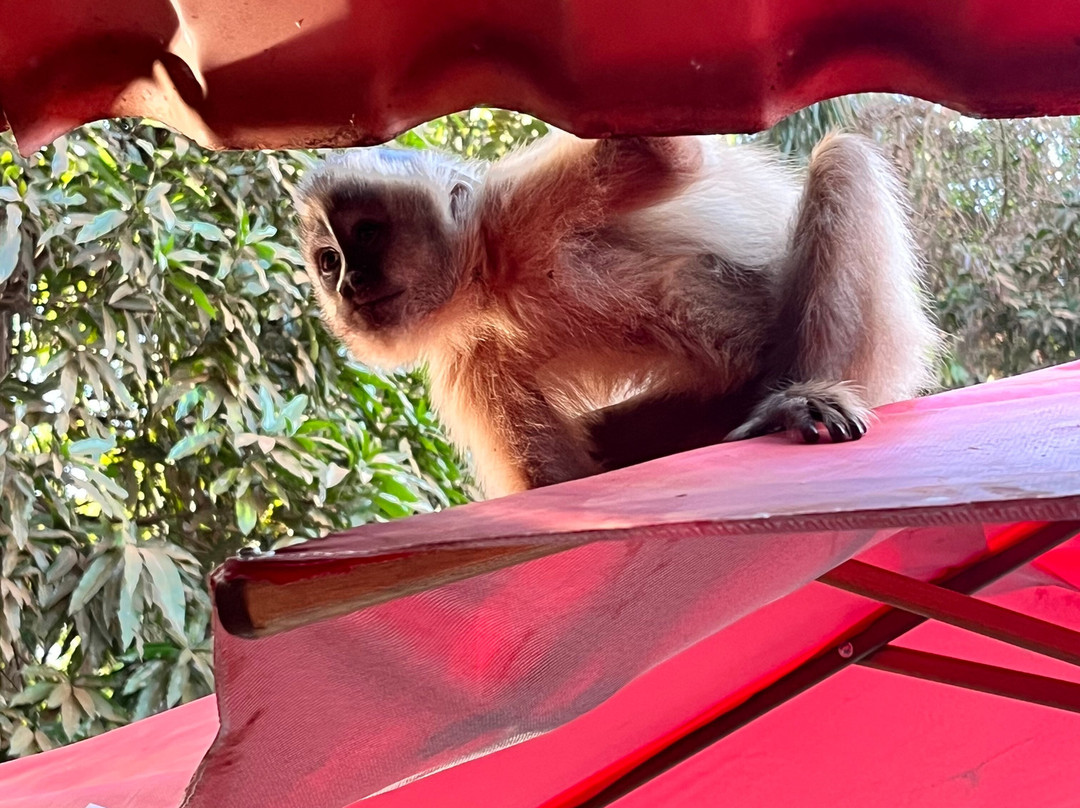 Balneario Estivado-诺布里斯必去景点