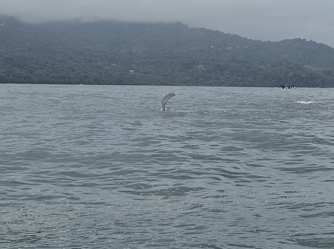 Ballena Tour Costa Rica-鲸城必去景点