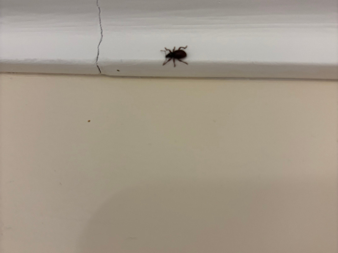 海景画海岸隐居酒店主图