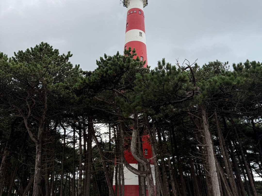 Vuurtoren Ameland-Hollum必去景点