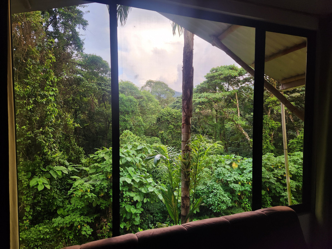 Essence Arenal Hotel, Biofarm & Spa主图