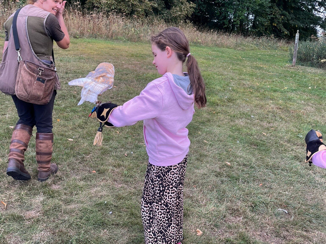 Hampshire Hawk Walks-Alton必去景点