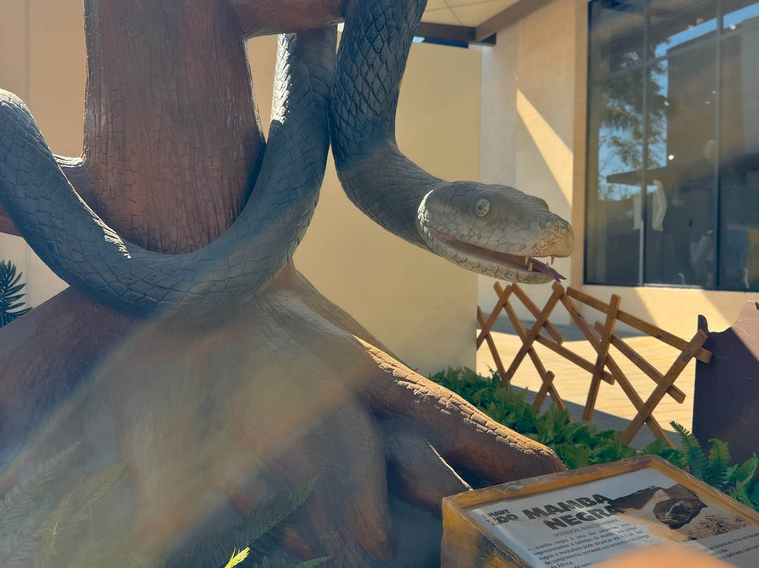 Porto Belo Outlet Premium-Porto Belo必去景点