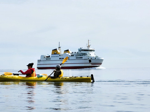 Adventure High Kayaking-Grand Manan必去景点