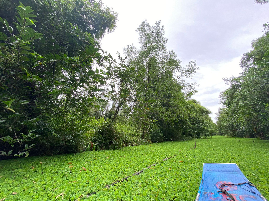 Mekong Experience Travel-芹苴必去景点