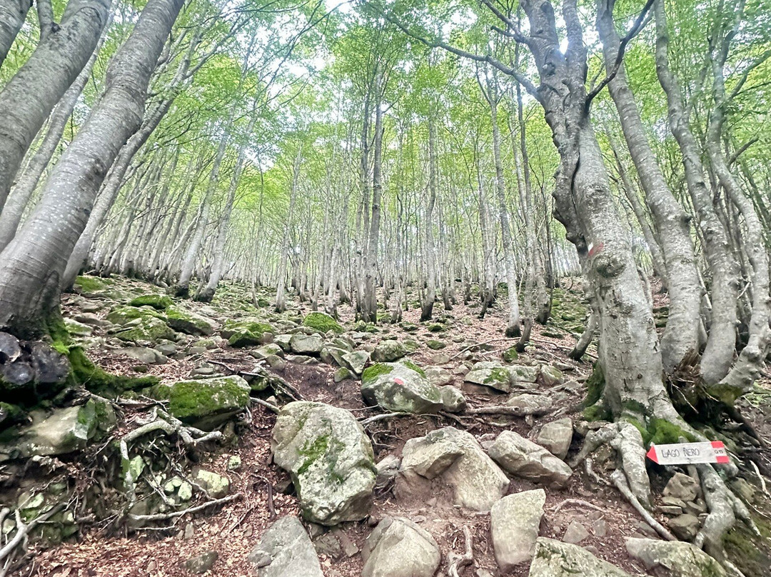 Lago Nero-Abetone必去景点
